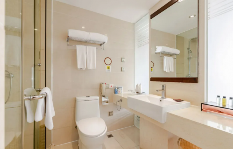 Deluxe City View Room
