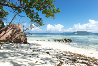 Остров Силуэт вид на пляж и пальму