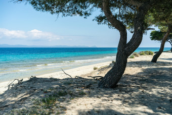 Курорт Халкидики - Ситония вид на пляж