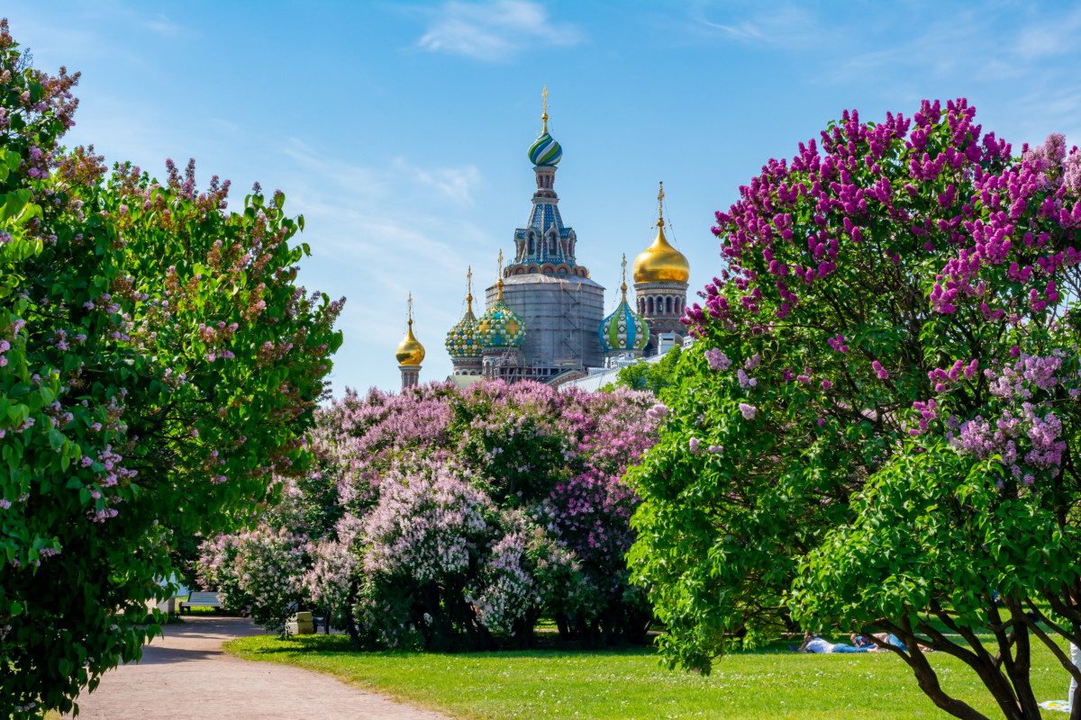 Весна в Санкт-Петербурге — очарование пробуждающегося города!