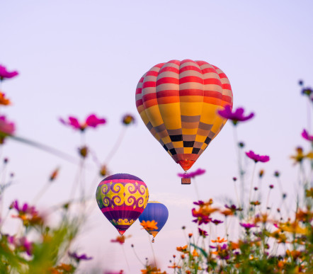 Экскурсии на воздушном шаре