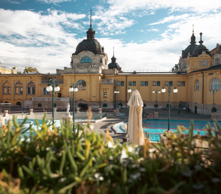 Лечебные купальни в Венгрии