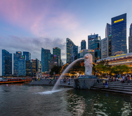 Языковой лагерь Merlion English Camp